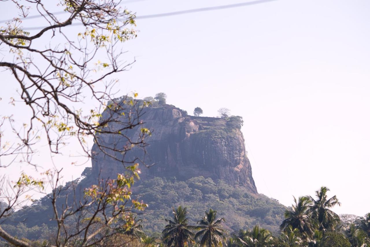Royal Rock Sigiriya Hotel Bagian luar foto